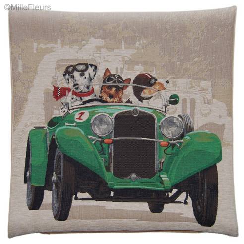 Dalmatian,Yorkshire Terrier en Jack Russell in Groene Auto