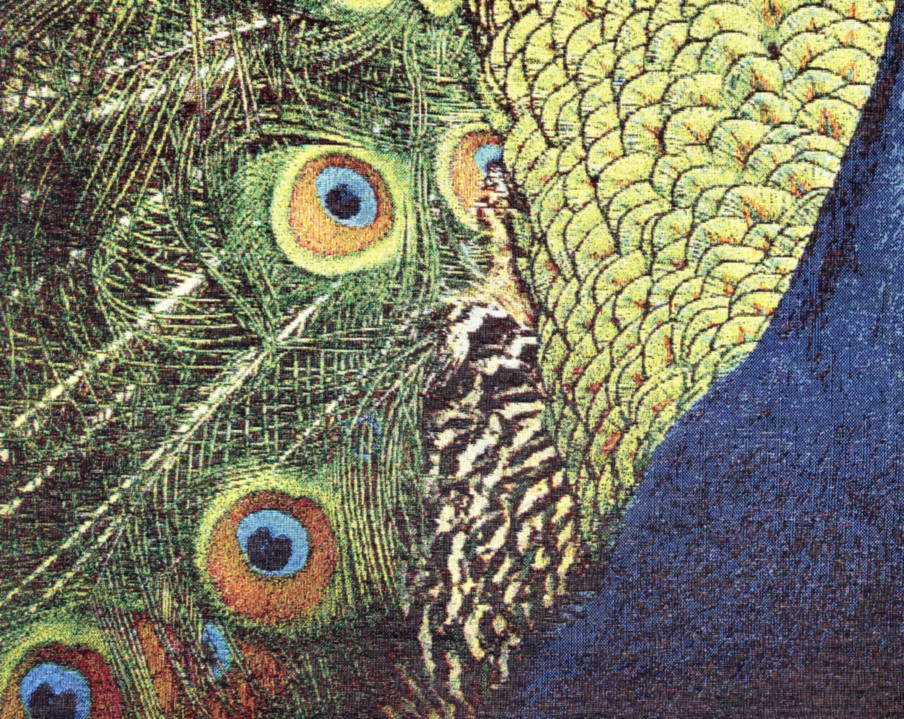 Proud Peacock Tapisseries murales Art Contemporain - Mille Fleurs Tapestries