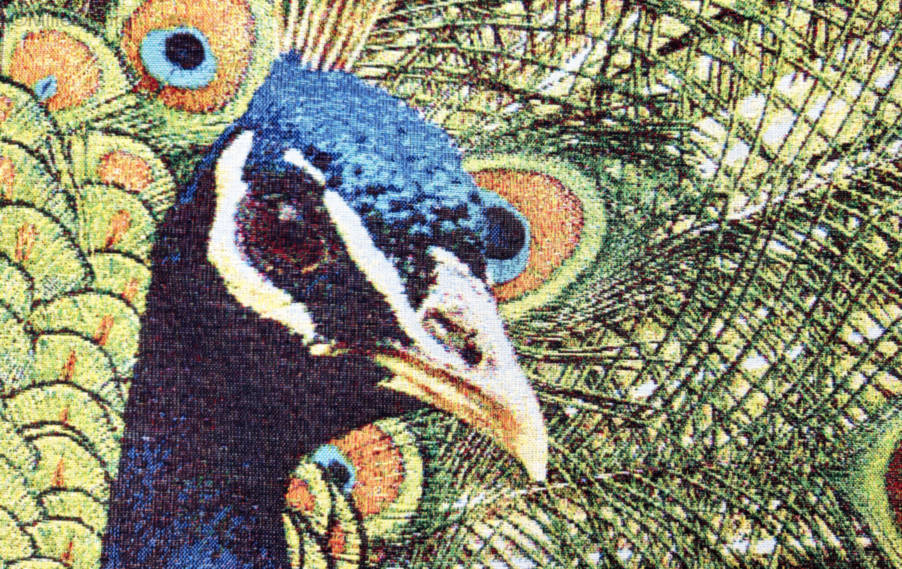 Proud Peacock Wall tapestries Contemporary Artwork - Mille Fleurs Tapestries