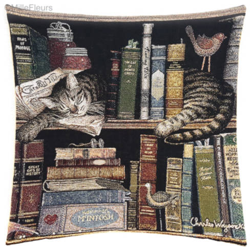 Bookshelf and Cats