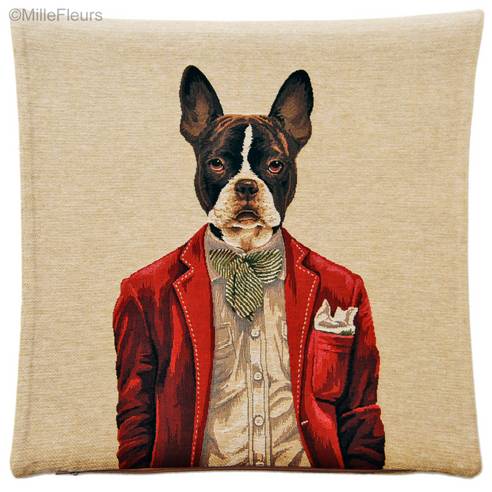 Boston Terrier Dandy Dog