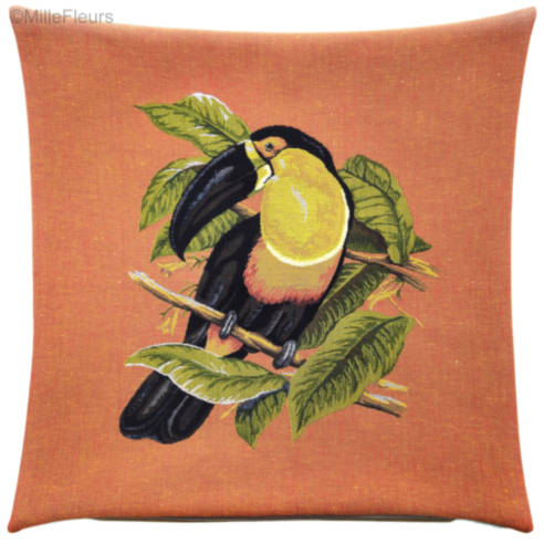 One Toucan