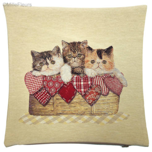 Drie Kittens in een Mand