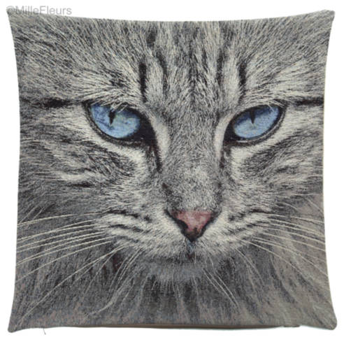 Blauwoogige Kat