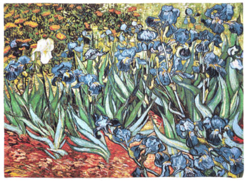 Iris (Van Gogh)