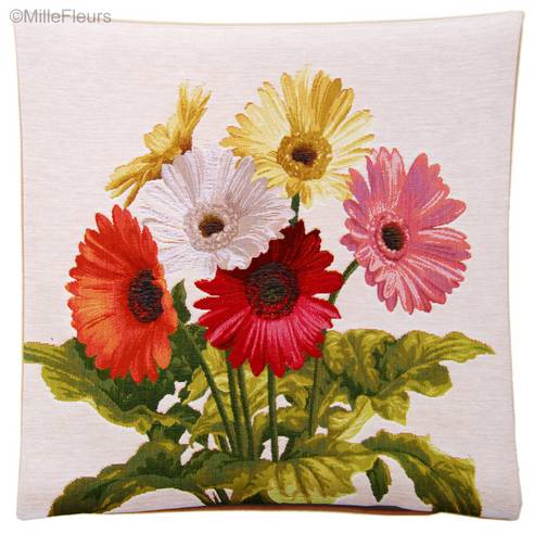 Gerbera