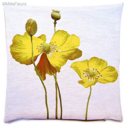 Two Yellow Poppies