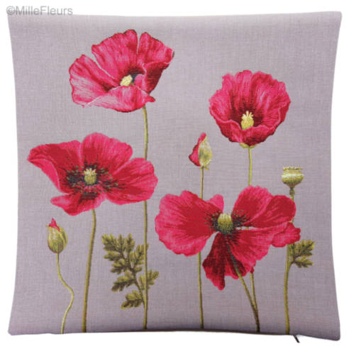 Poppy