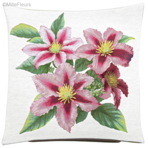 Clematis
