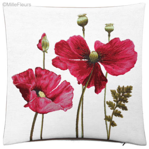 Poppy